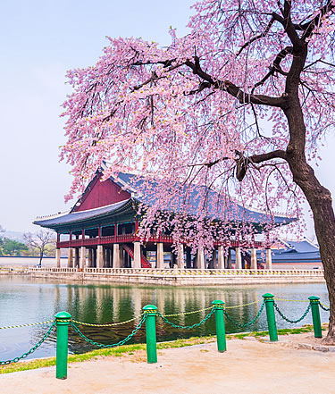 Tour a De Se&uacute;l a Hiroshima | Corea Del Sur,  Japon en Español 2026-2027