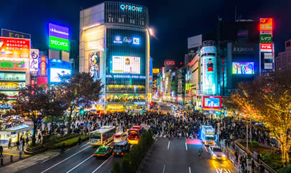 Viajes a CONTRASTES DE JAPON FIN TOKIO 2024 en español | Agencia de Viajes Festival