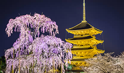 Tour a TOKIO, KIOTO E HIROSHIMA 2024 en español | Tours a Asia y Oriente