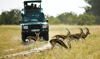 Viajes a TIERRAS DE KENIA 2025 en español | Agencia de Viajes Festival