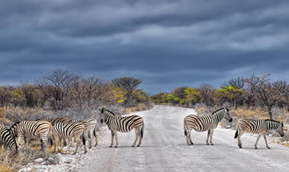 Tour a SCENIC NAMIBIA 2026 en español | Tours a Asia y Oriente