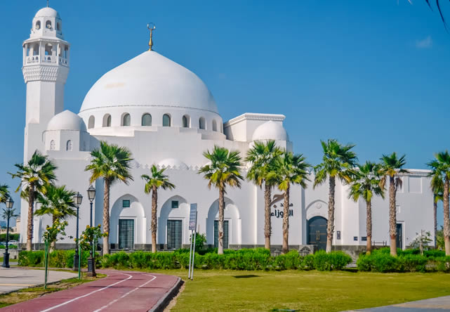 Viaje a arabia en Español 2025-2026 Foto del viaje a arabia en Español 2025-2026