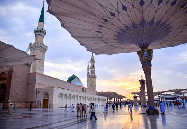 Viaje a arabia en Español 2025-2026 Foto del viaje a arabia en Español 2025-2026