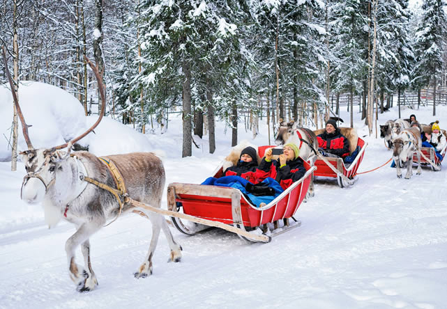 Foto del viaje a finlandia en Español 2025-2026