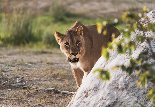 Foto del viaje a namibia en Español 2026-2027